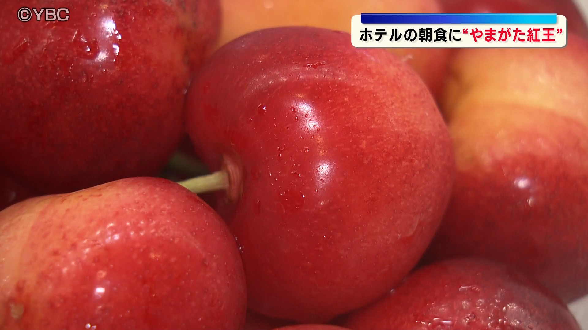 デビュー4年目 大玉のブランドサクランボ「やまがた紅王」がホテルの