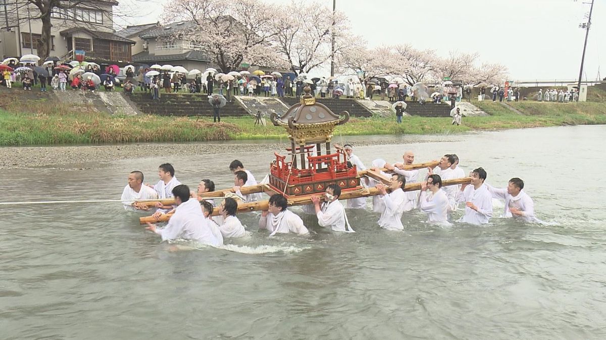 神輿を担いで川に　鶴岡市鼠ケ関で海の安全と豊漁を祈る「神輿流し」　250年以上続く伝統行事