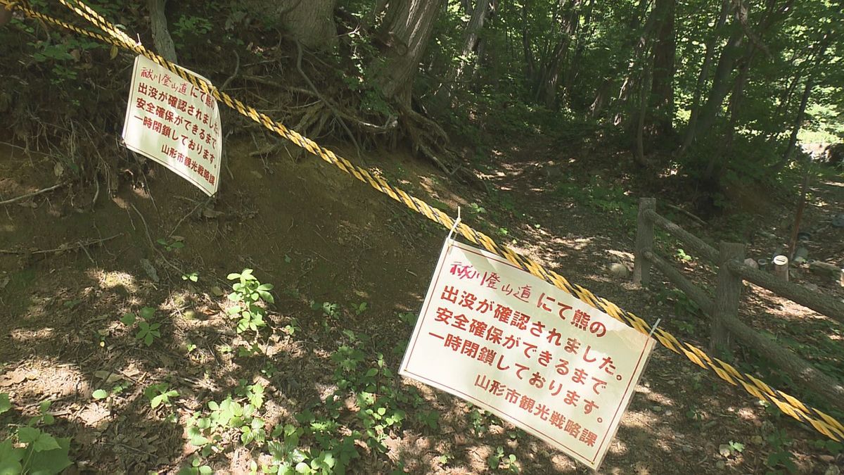 蔵王で登山をしていた兵庫県の71歳の男性がクマに襲われけが　山形県内で6月の人身被害は2件目