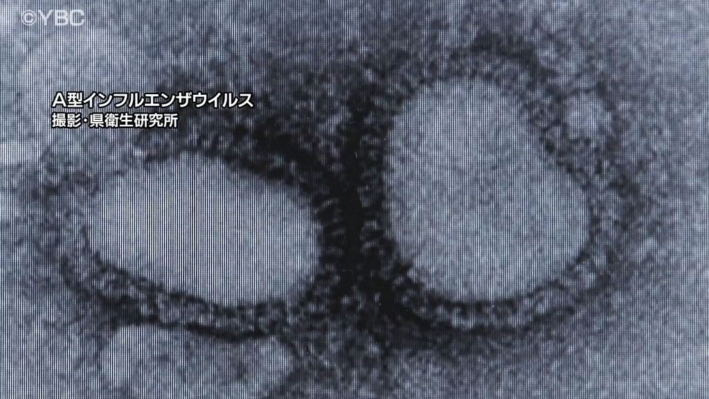 山形県で１３週連続インフル警報　９割以上が２０歳未満