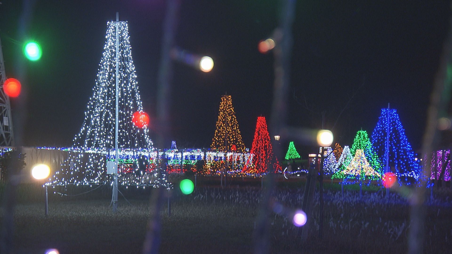 鶴岡市で藤棚の15万個LEDイルミネーションきらめく 住民有志が飾り付け