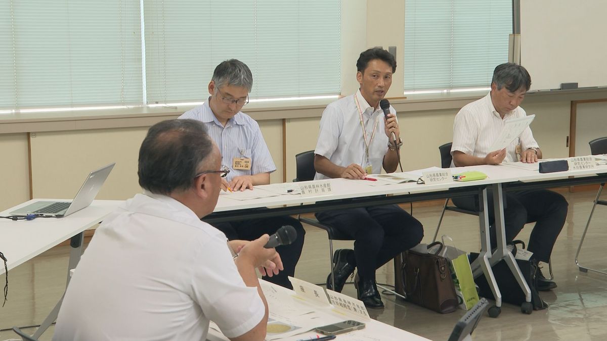 「葉の色に惑わされず適期刈り取りを」　山形県内のコメ平年より登熟の割合進む