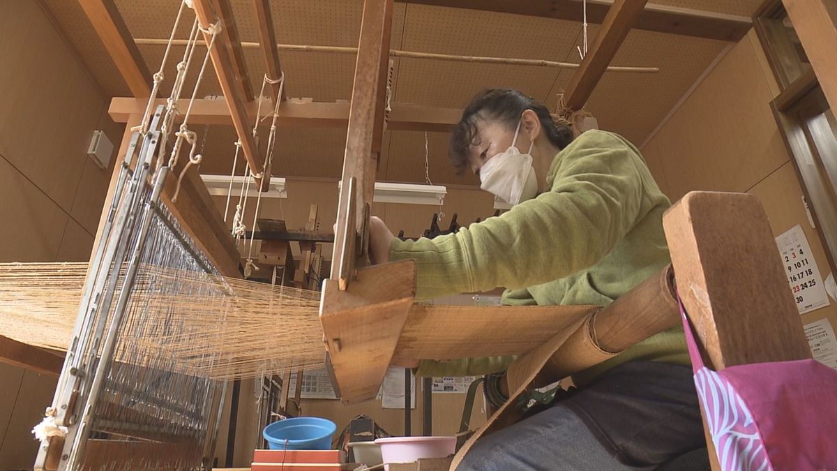 週末に関川しな織まつり　150年続く伝統工芸　受け継いでいるのは3人だけ