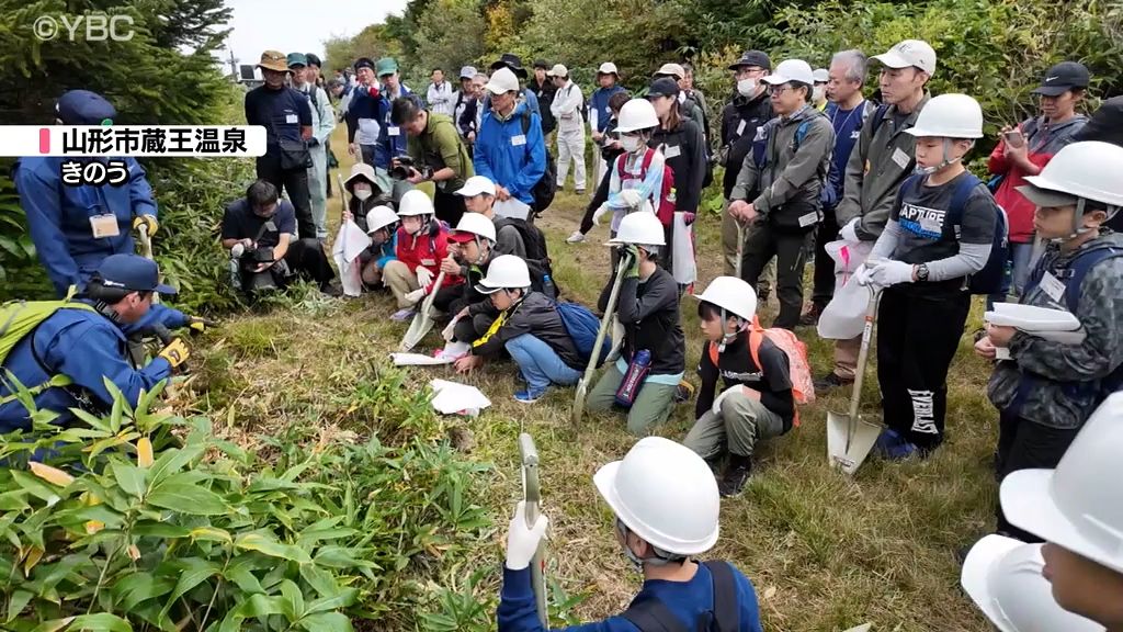 蔵王の樹氷を後世に…子どもたちが植樹「大きく育って立派なスノーモンスターになって」