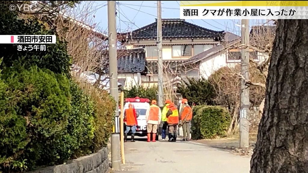 酒田市でクマが小屋に逃げ込んだか　小学校付近で目撃後・山形