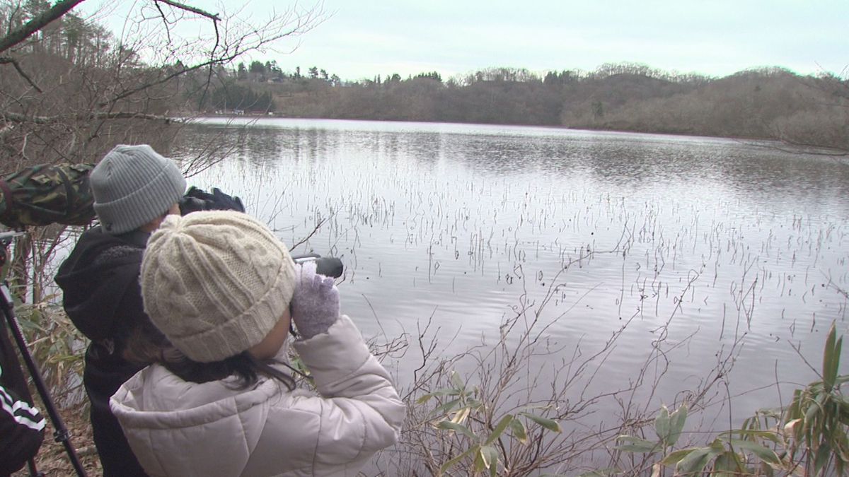 ラムサール条約登録の鶴岡市の大山上池・下池周辺で野鳥の観察会　オオワシも姿見せる