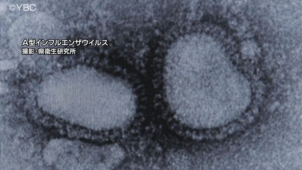 インフル患者拡大・山形県内では６週連続で増加