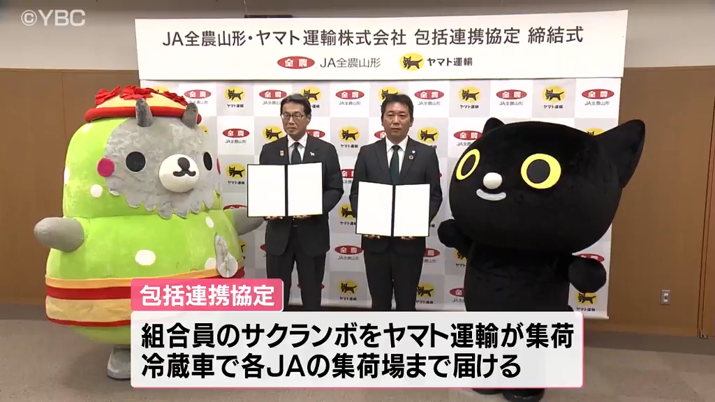 農家の負担軽減に サクランボの収穫最盛期を前にJA全農山形とヤマト