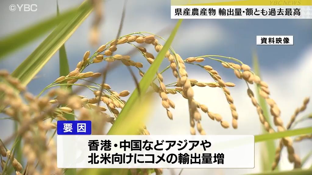 輸出量・輸出額ともに過去最高を更新　2023年度産の山形県産農産物の輸出