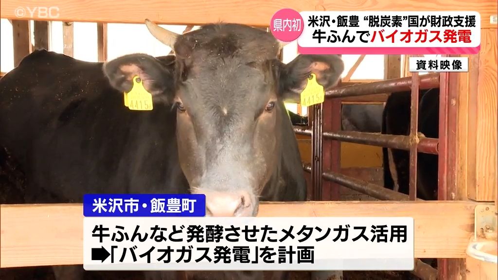 米沢牛のふんでバイオガス発電　国の「脱炭素選考地域」に米沢市と飯豊町の事業計画採択