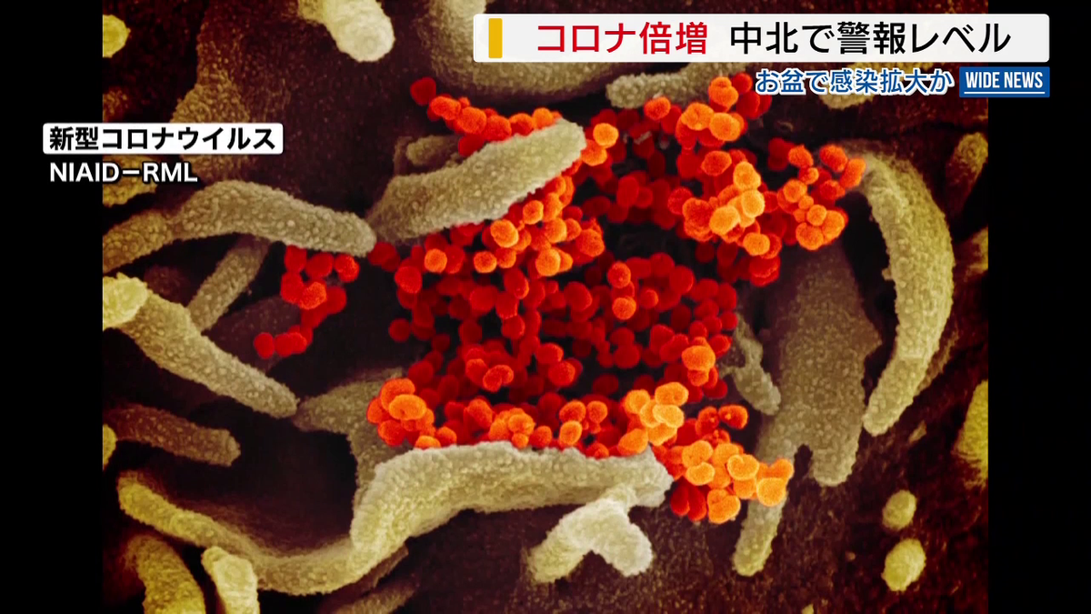 ☆完全予約制☆新型コロナウィルス感染拡大への対策♪特別価格♪スズキ　レッツ4　後タイヤ新品同様♪サービスキャンペーン実施/配達可/清掃済み♪♪ 新型コロナの感染者倍増「ウイルス量は過去の流行時に匹敵」中北で警報