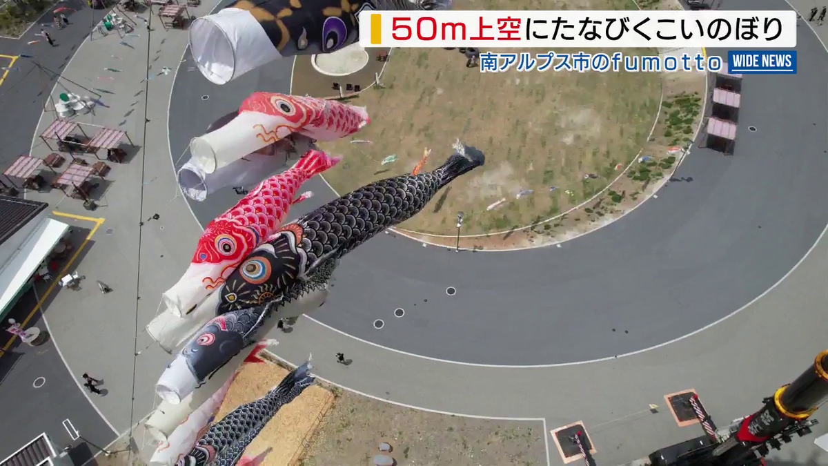 コストコのお隣で･･･こいのぼりが高さ50m上空たなびく クレーン車活用  山梨・南アルプス市