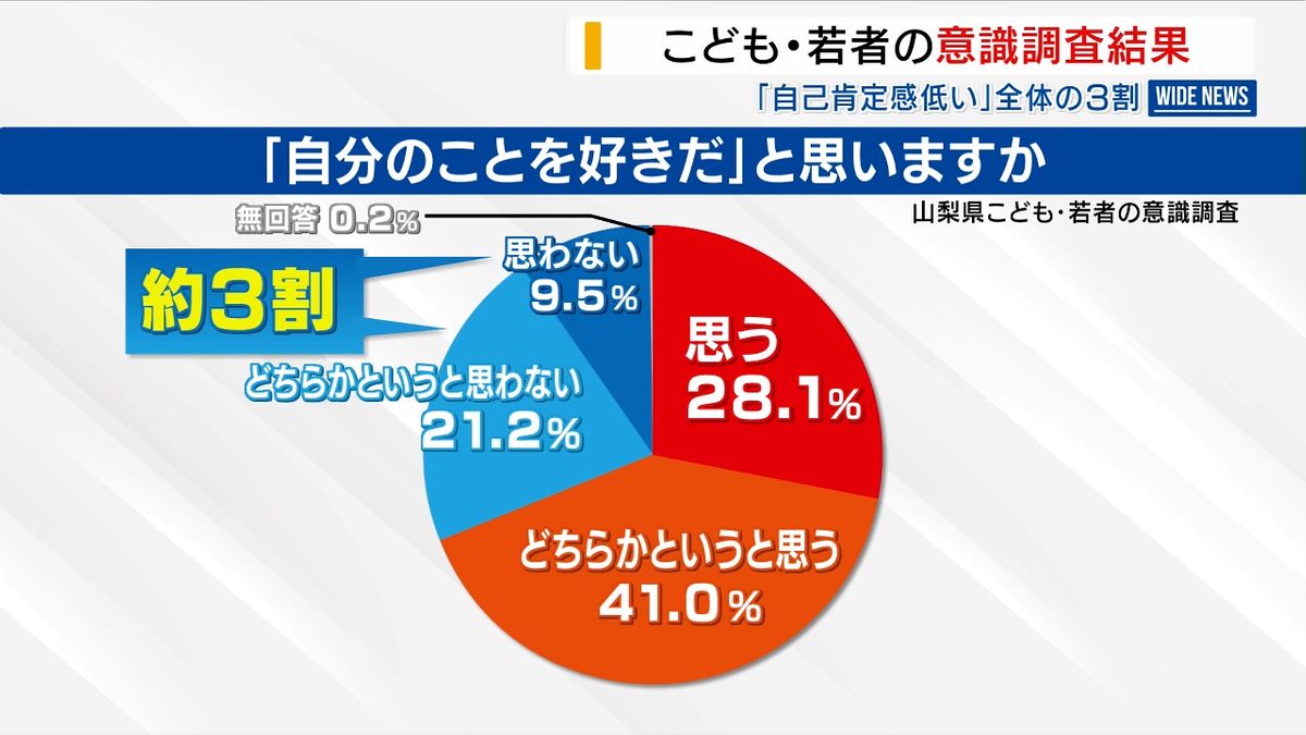 若者の3割「自分のこと好きじゃない」県の意識調査 17％が「将来に希望ない」山梨