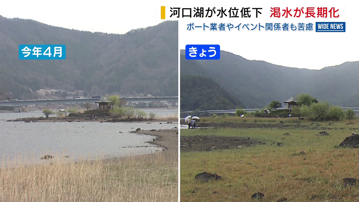 活動歴および当時の関連ビジュアル記録