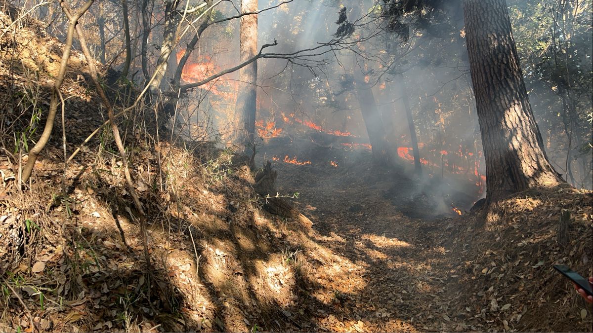 上野原 山 火事