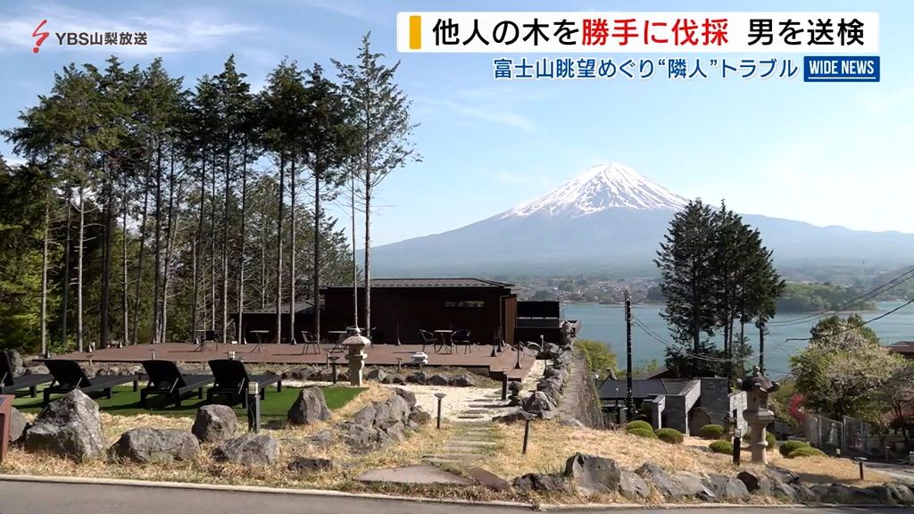 富士山の眺めさえぎる樹木伐採か 中国籍のホテル経営者を逮捕  容疑認める 山梨