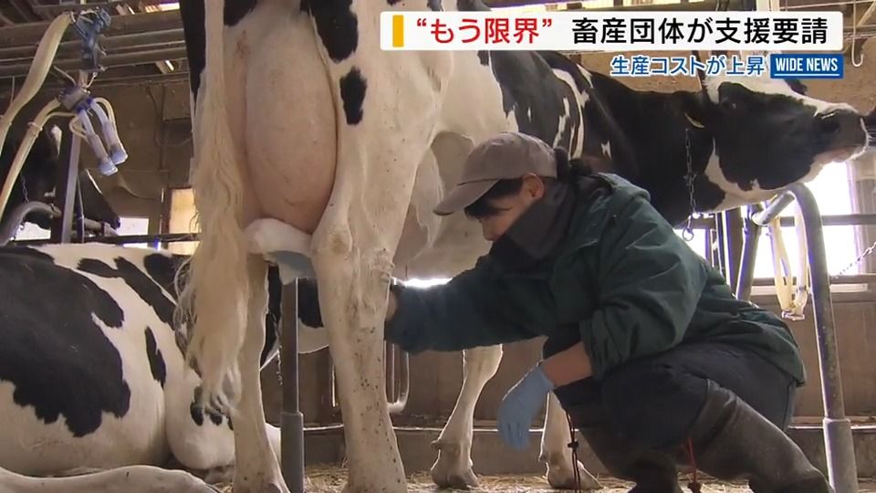 「廃業する人も多くなって…」飼料や燃料高騰でピンチ 畜産農家が県に支援要請 山梨