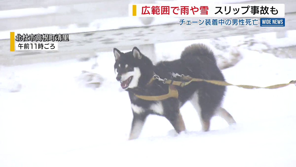 昨年末以来…県内でまとまった降雨 清里では雪 年明けの甲府の降水量は