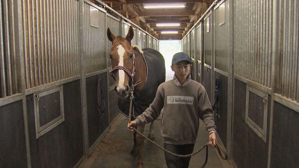 きっかけは競馬中継