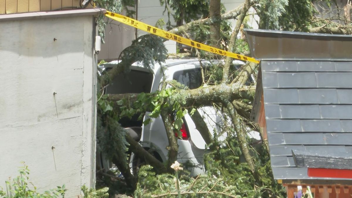 突風被害 倒木で下敷きの70代男性死亡 気象庁が調査「竜巻ではない」山梨・富士河口湖町