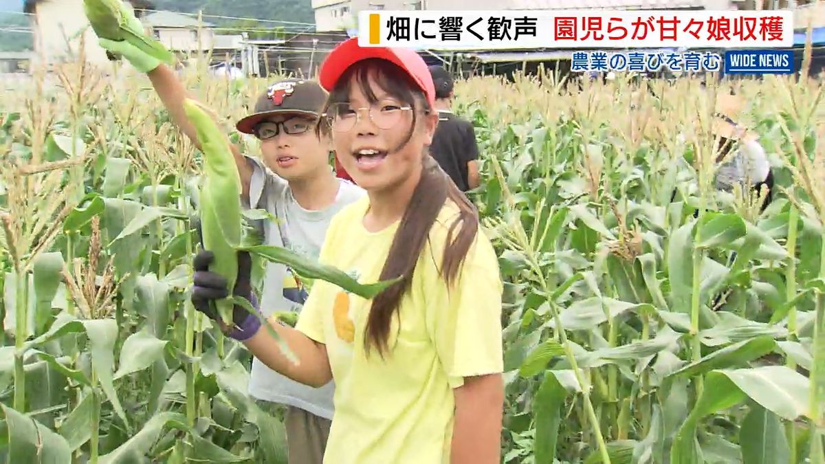 「焼いて食べたい！」子どもたちから歓声上がる トウモロコシの収穫体験  山梨県