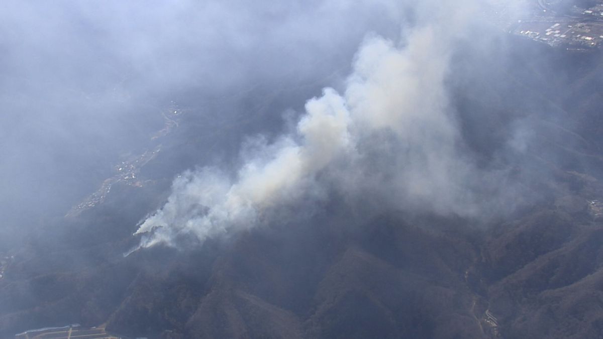 大月の山火事6日目 雨の影響で火の勢い弱まる 悪天候で消火活動は見送り 山梨