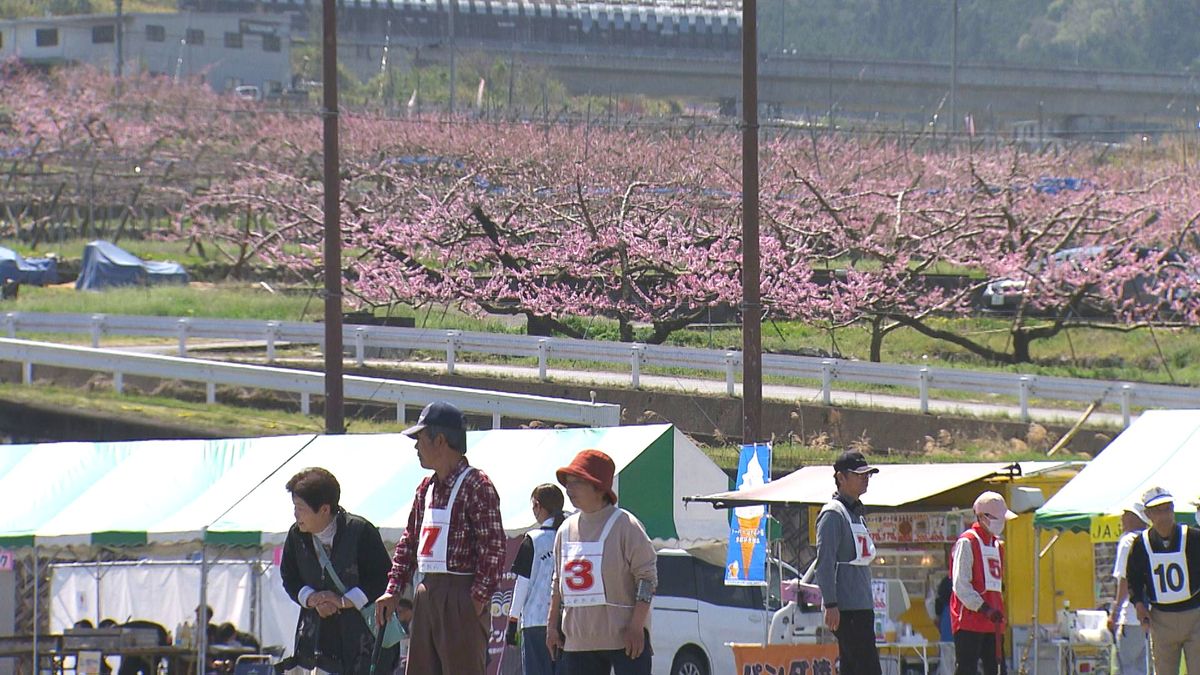 桃の花も見頃