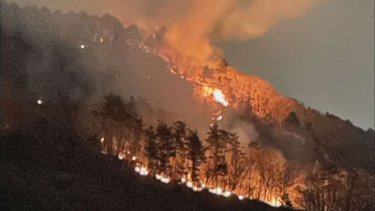 【速報】大蔵経寺山の山火事 ようやく鎮圧「延焼の恐れなくなる」発生10日目で 山梨