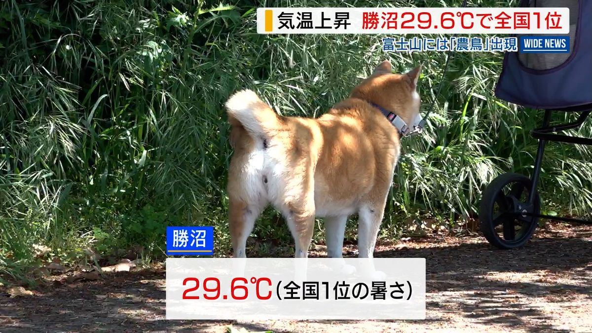 気温上昇！勝沼で29.6℃ 全国1位の暑さに 富士山では「農鳥」 山梨県