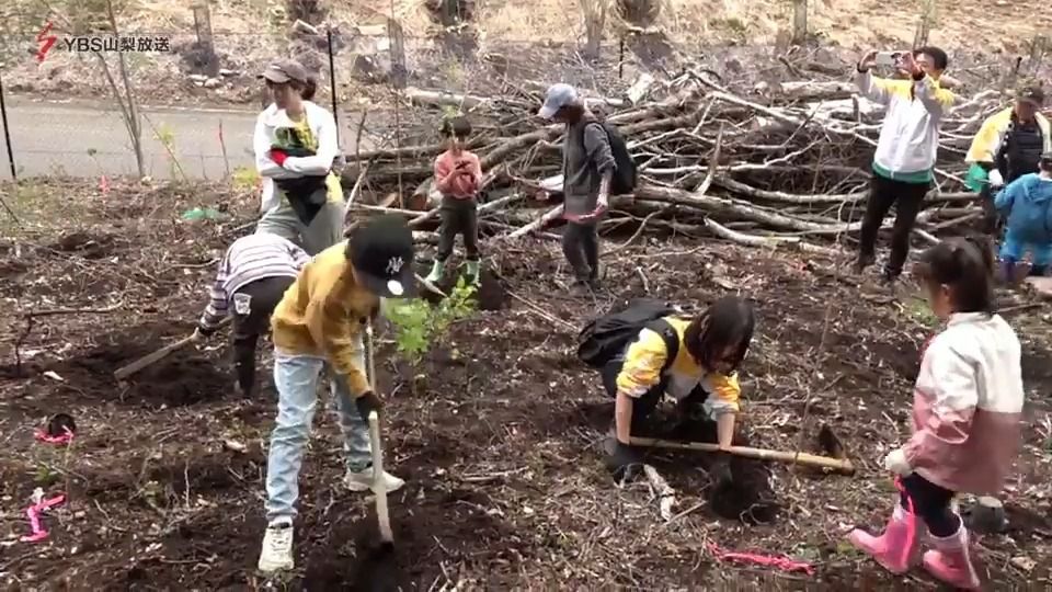 「自然を未来へ」親子で苗木471本を植樹 VF甲府OB・小椋祥平さんも参加 山梨