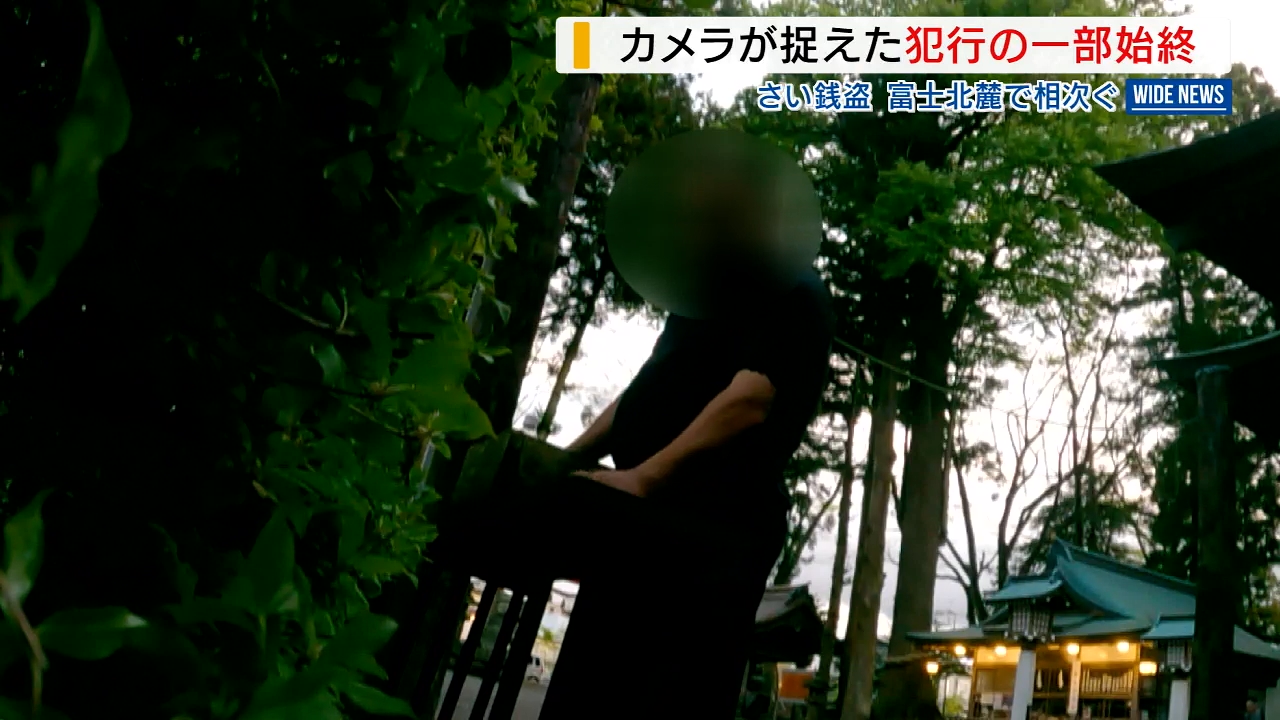 持ってけ泥棒！ GEECRACK（ジークラック） 【全12色】ジークラック 泥棒スッテ影 20号