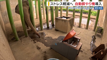動物園の人気者！アジアゾウのテルに贈り物…大学教授と学生が開発した発明品とは？山梨