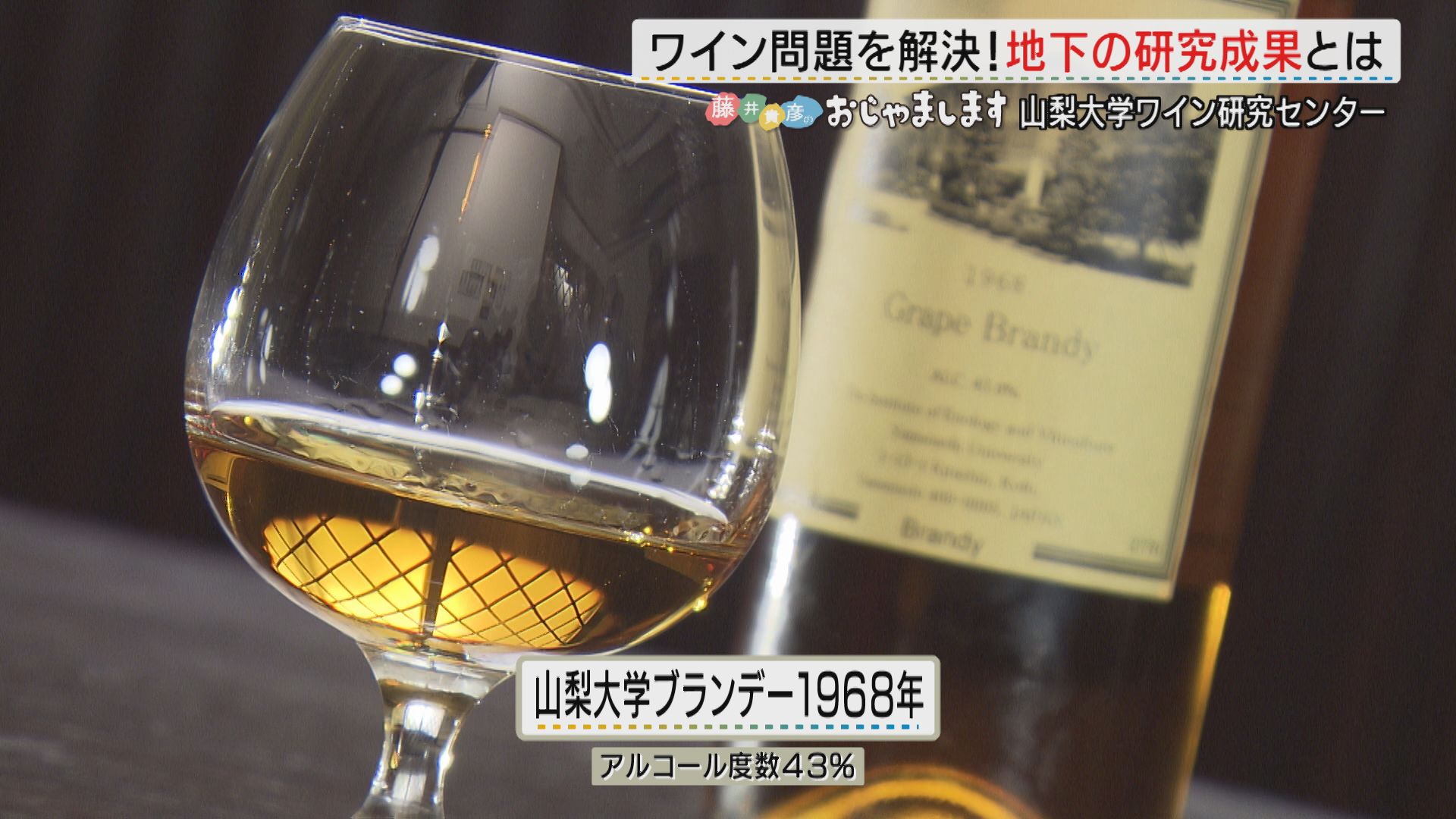 ウイスキー　ブランデー　　ワイン 3ページ目 【特集】「藤井貴彦のおじゃまします」 ワイン問題を解決