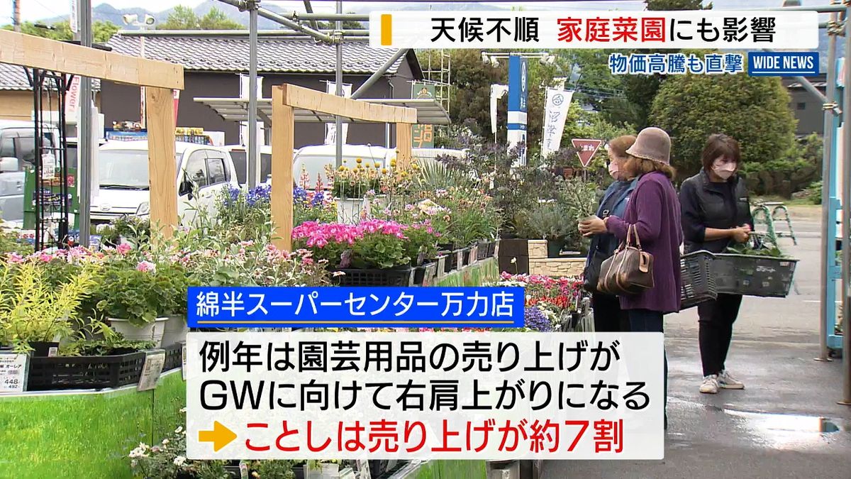 天候不順や物価高騰 人気の家庭菜園にも影響　山梨県