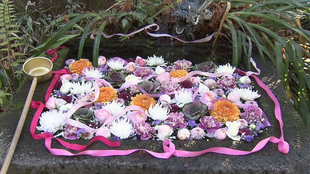 信玄公の月命日に合わせ「花手水」 武田神社の境内を彩る 山梨県