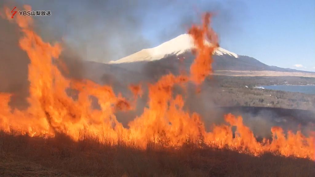 伝統の炎と富士山 春告げる明神山の火入れ 芽吹き促す圧巻の光景 山梨・山中湖村