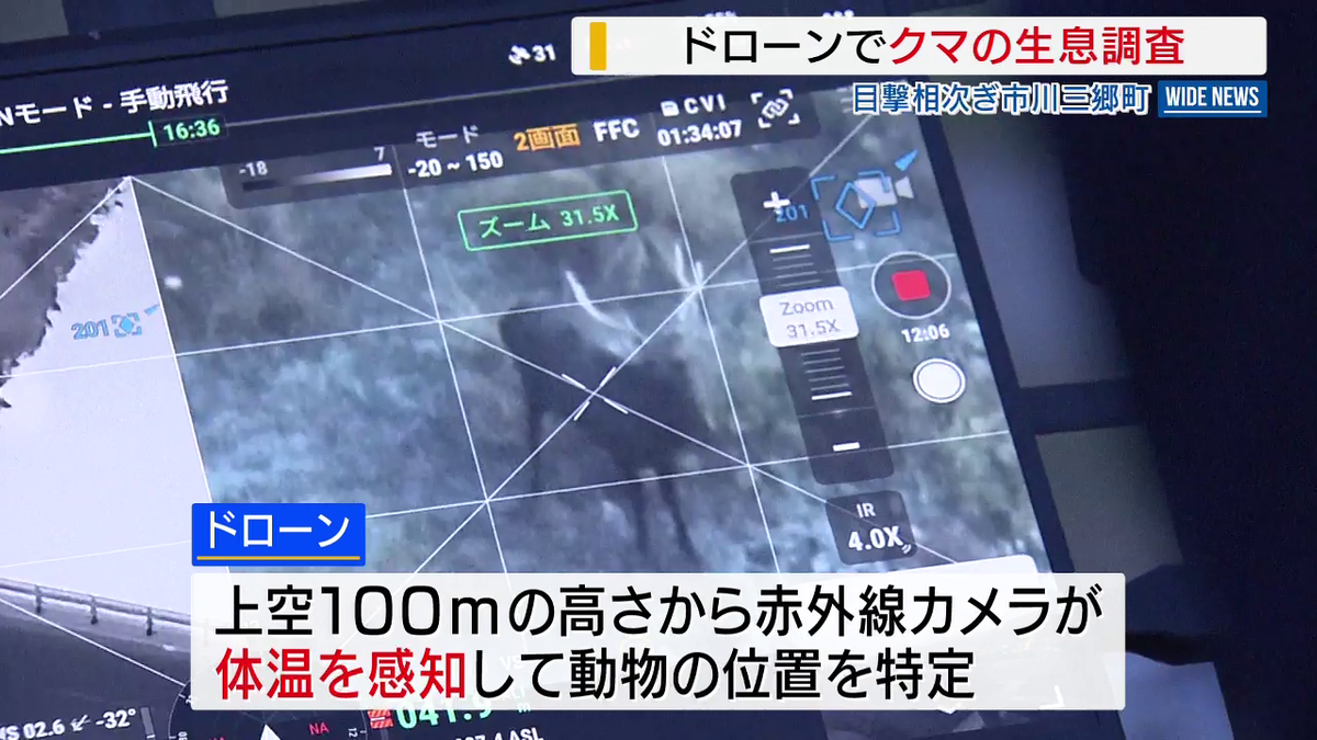ドローンでクマの生息調査 上空100mから体温感知シカ69頭を確認 クマは
