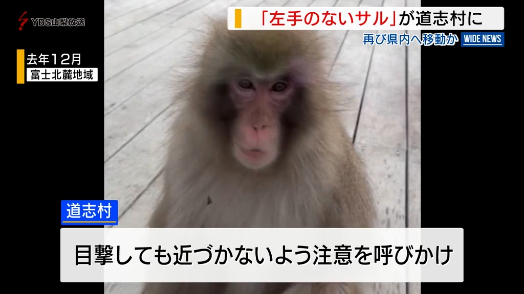 ★猿★プロフ確認して下さい。 2C1AD105-CBBD-4EAA-959B-