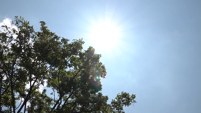 今年初の熱中症警戒アラート 2020年以来最も早い発表 すでに甲府で33℃超 山梨