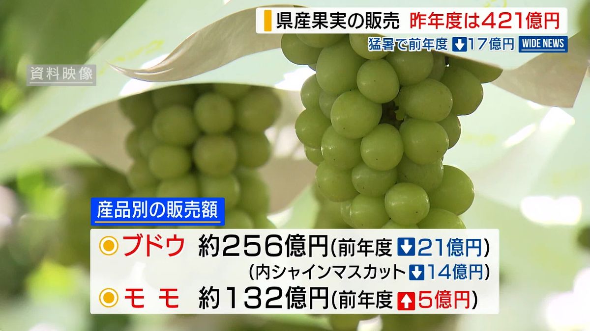 シャインマスカットが大幅減 昨年度の県産果実の販売総額 猛暑の影響で 