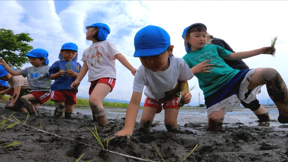 「ふにゃふにゃでした」園児が“お田植え”初体験 泥んこになり苗植える 山梨・昭和町