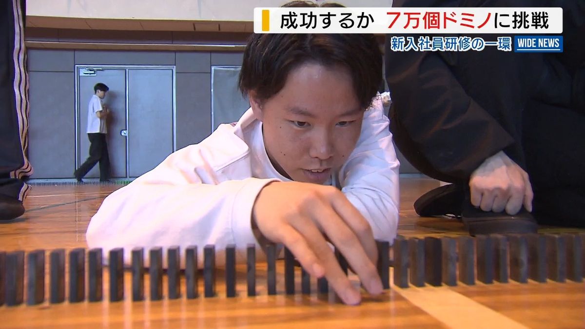 ドミノ倒し 新人研修は7万個のドミノ倒し！「全員が気持ちひとつに」チャレンジの