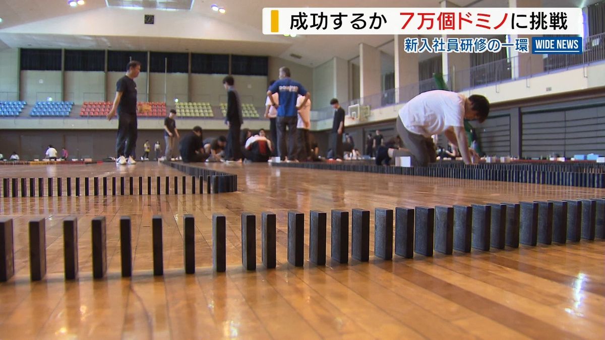 新人研修は7万個のドミノ倒し！「全員が気持ちひとつに」チャレンジの