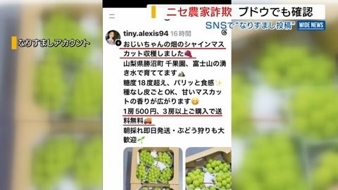 ニセ農家詐欺 “シャイン1房500円”のウソ投稿にブドウ農家「とてもじゃ