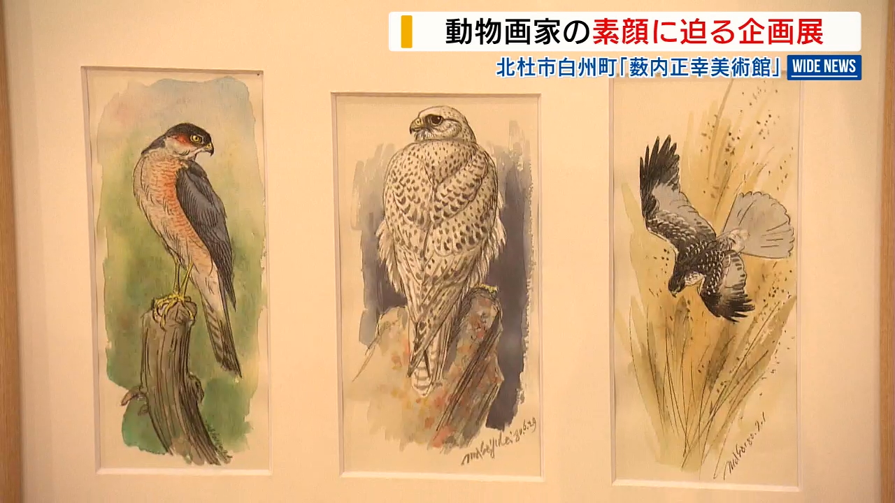 動物画家・薮内正幸さんの素顔に迫る企画展 プライベートで描かれた作品を展示 山梨・北杜市（2024年5月28日掲載）｜YBS NEWS NNN