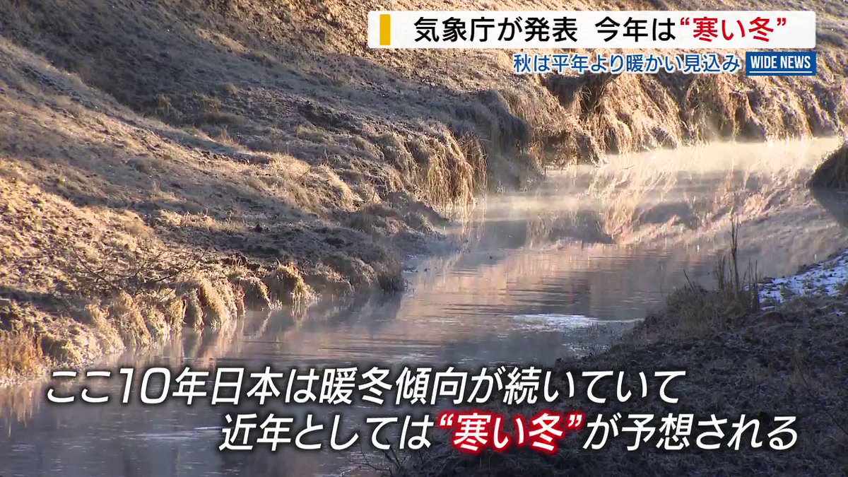 今年 は 寒い