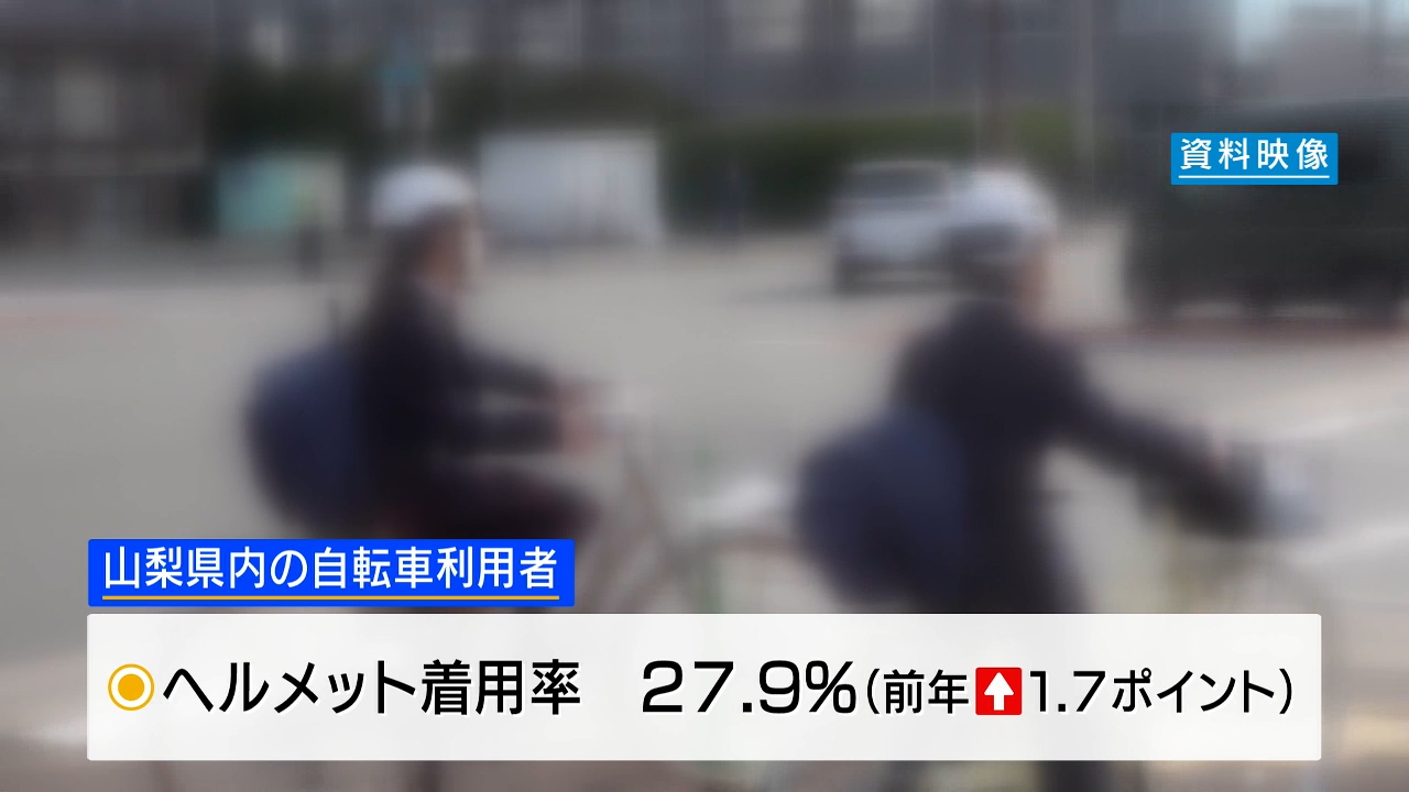 未着用 (未着用 唐織 シダ模様 霞 金糸 袋帯 着物 032a p) 未着用 (未着用 唐織 シダ模様 霞 金糸 袋帯 着物 032a p)