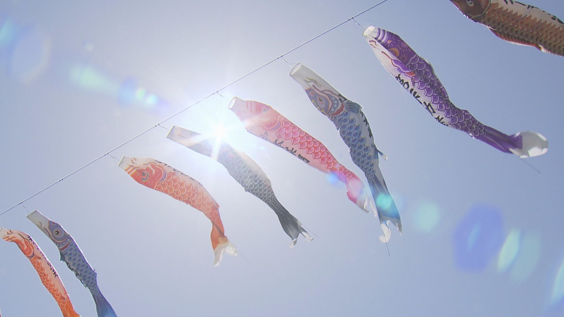 圧巻のひとこと」道の駅にこいのぼり400匹 風に揺られ優雅に泳ぐ 山梨