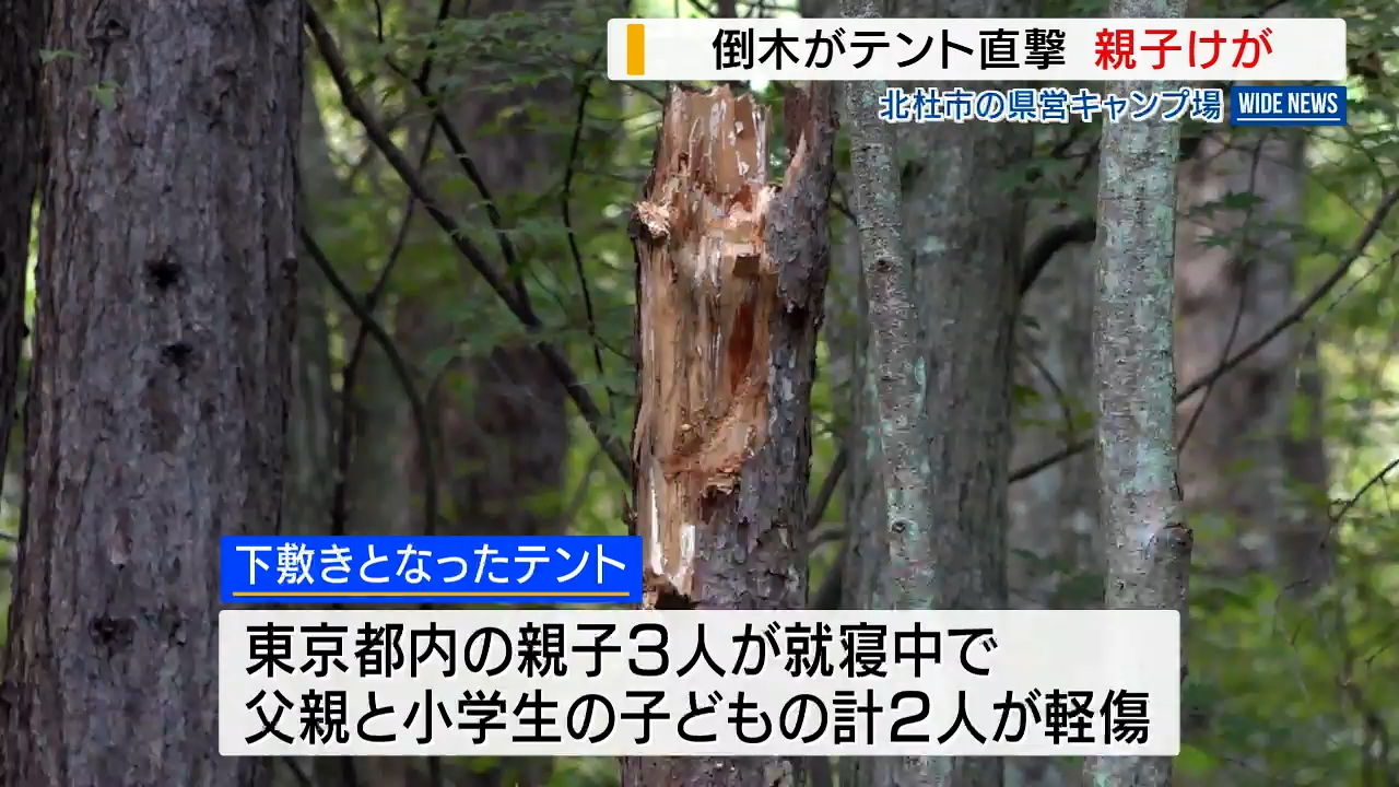 県営キャンプ場で倒木がテント直撃 就寝中の小学生親子けが 県が原因