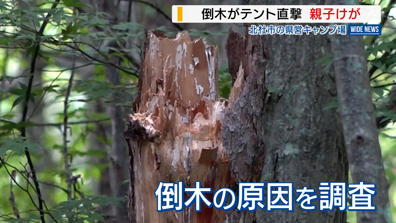 県営キャンプ場で倒木がテント直撃 就寝中の小学生親子けが 県が原因